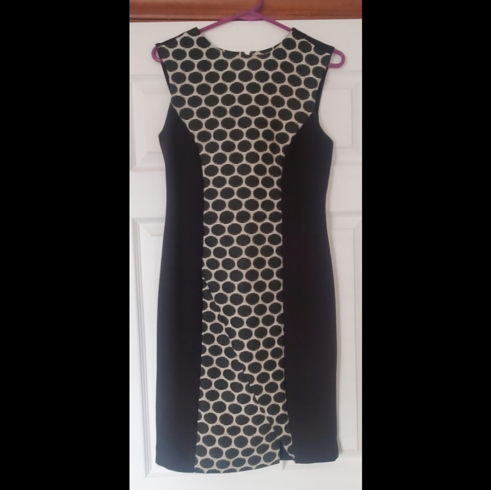 The Limited Polka Dot Dress